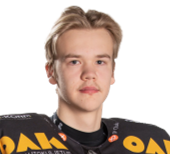 Niklas Kokko headshot